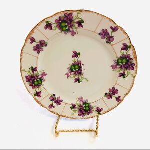 Vintage Floral Porcelain Decorative Plate